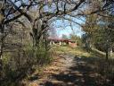 The Frank Lloyd Wright house grounds.