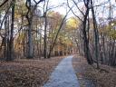 Hiking trail.