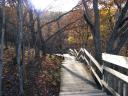 A boardwalk.